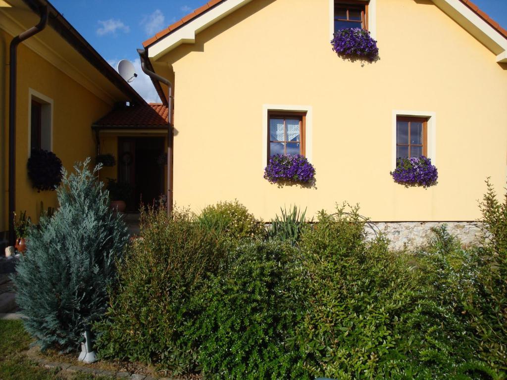 Apartman Augsten Cesky Krumlov Bagian luar foto